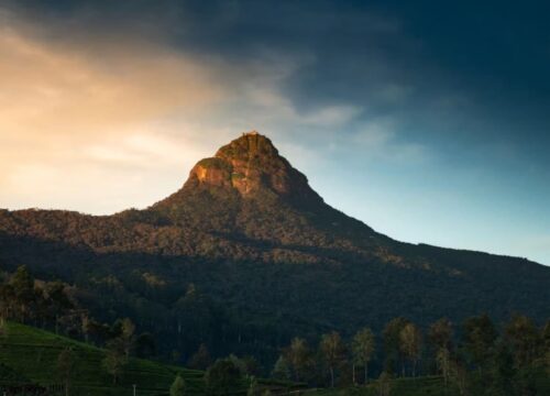 Hill Comfort